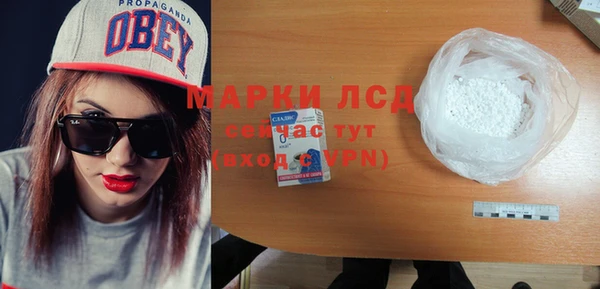 ГАЛЛЮЦИНОГЕННЫЕ ГРИБЫ Осинники