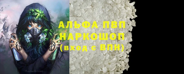 ГАЛЛЮЦИНОГЕННЫЕ ГРИБЫ Осинники