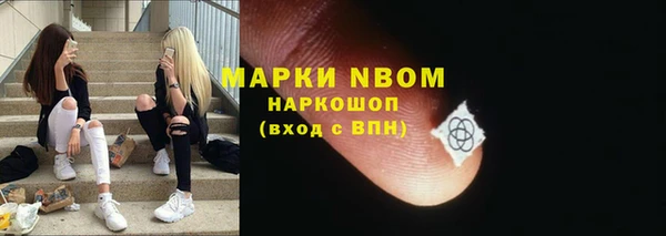 ГАЛЛЮЦИНОГЕННЫЕ ГРИБЫ Осинники