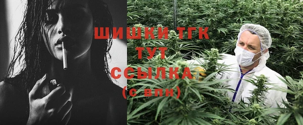 ГАЛЛЮЦИНОГЕННЫЕ ГРИБЫ Осинники