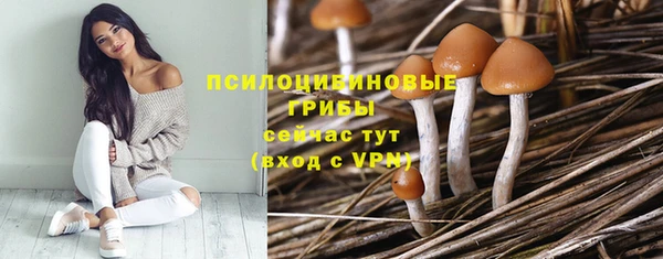 ГАЛЛЮЦИНОГЕННЫЕ ГРИБЫ Осинники