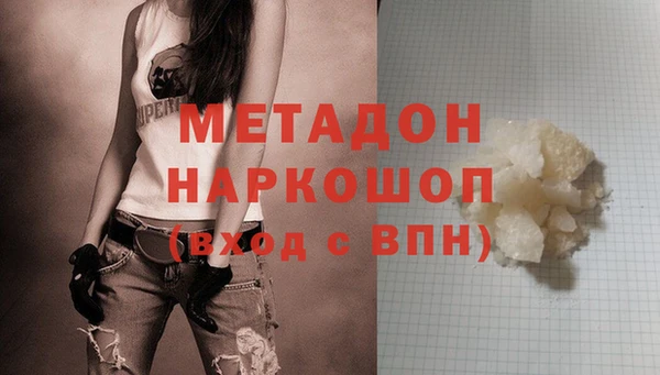 ГАЛЛЮЦИНОГЕННЫЕ ГРИБЫ Осинники