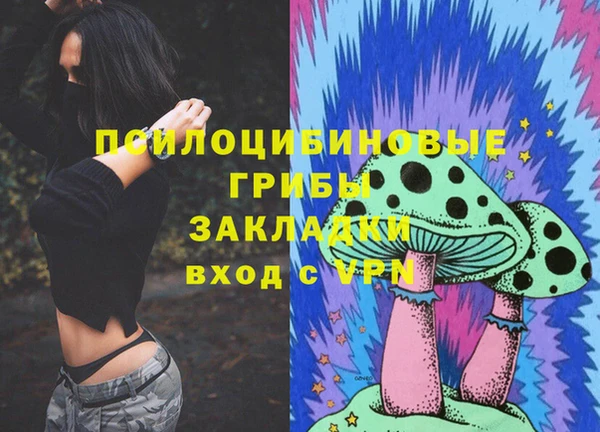 spice Покачи