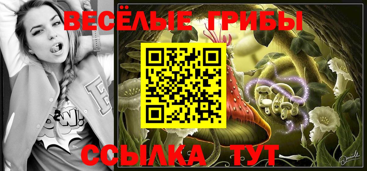 Псилоцибиновые грибы MAGIC MUSHROOMS  Галлюциногенные грибы Psilocybe  Вход с VPN  Гурьевск 