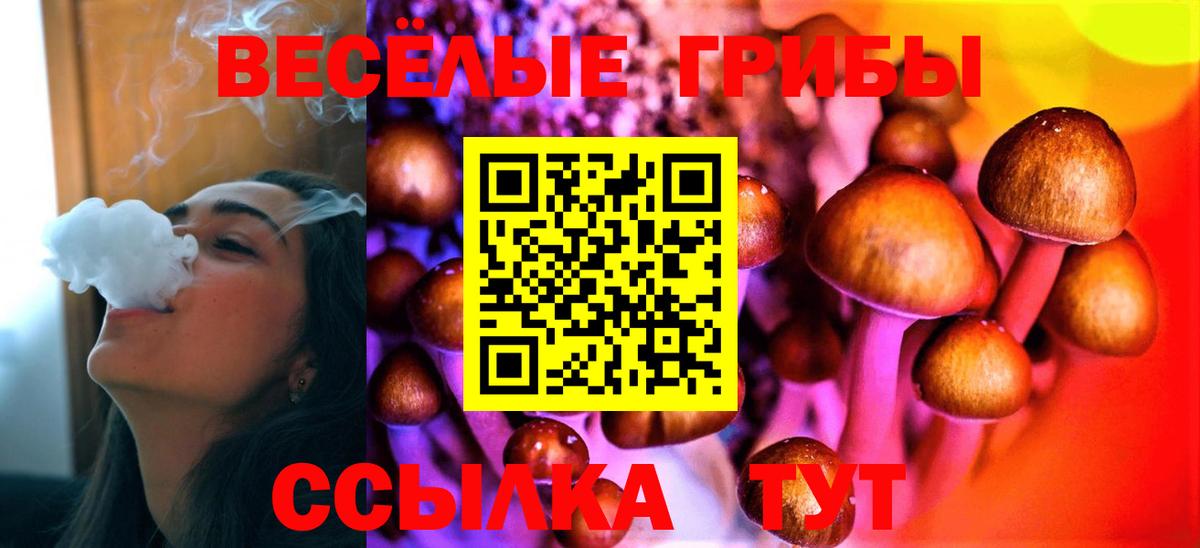 Псилоцибиновые грибы Magic Shrooms Гурьевск