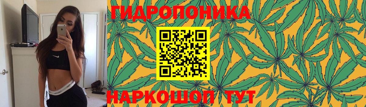 Канабис VHQ  Конопля конопля  Гурьевск  Канабис OG Kush  Канабис ГИДРОПОН 